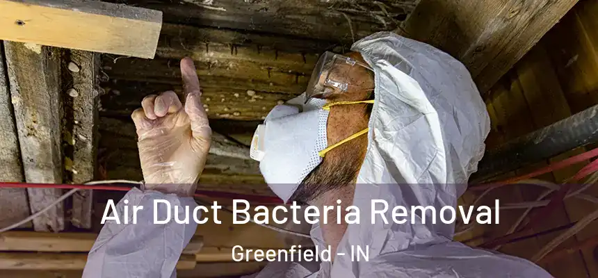  Air Duct Bacteria Removal Greenfield - IN