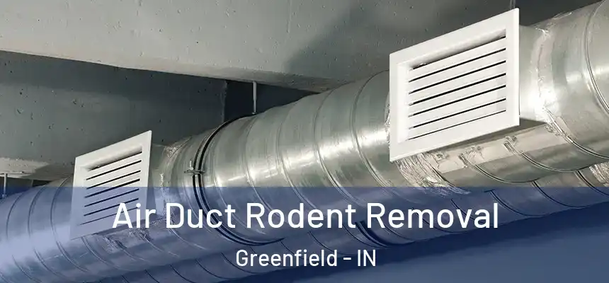  Air Duct Rodent Removal Greenfield - IN