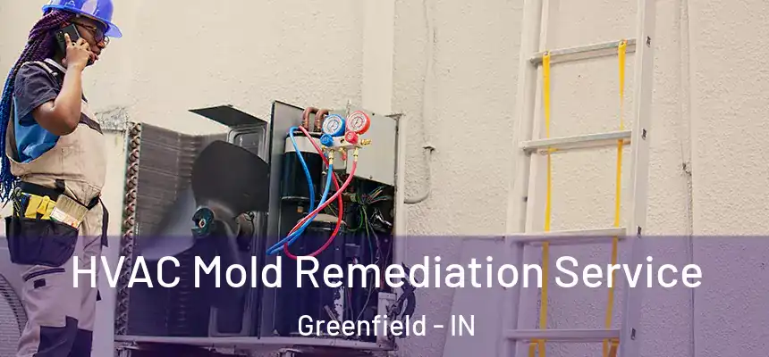  HVAC Mold Remediation Service Greenfield - IN