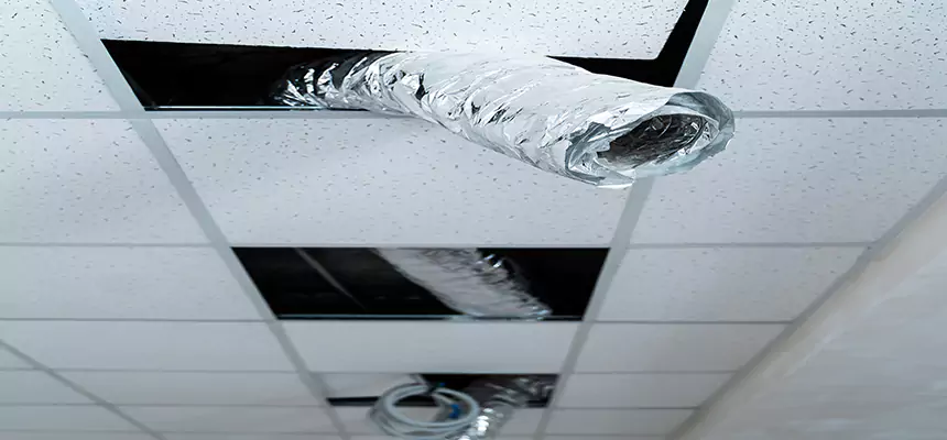 Our Air Duct Pet Hair Removal Services in Greenfield, IN