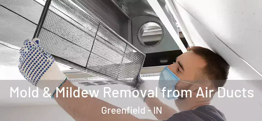  Mold & Mildew Removal from Air Ducts Greenfield - IN