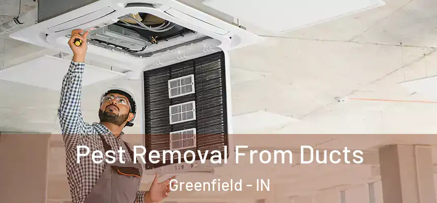 Pest Removal From Ducts Greenfield - IN