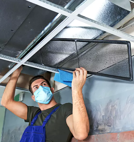 About Air Duct Bacteria Removal in Greenfield