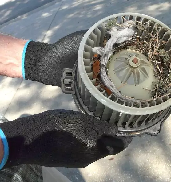 About Air Duct Mice Removal in Greenfield, IN