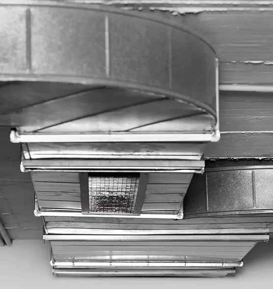 Professional Air Duct Pest Removal in Greenfield, IN