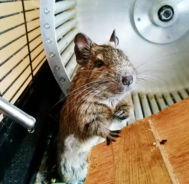 Why Homeowners & Businesses Trust Us Greenfield, IN?